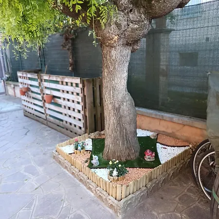 L'albero Del Druido * Villastellone